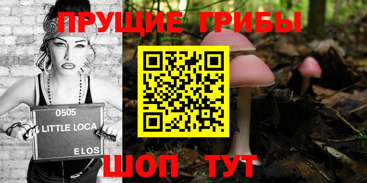 Псилоцибиновые грибы MAGIC MUSHROOMS  Вход с VPN  Псилоцибиновые грибы Psilocybe  продажа наркотиков  Озёры 
